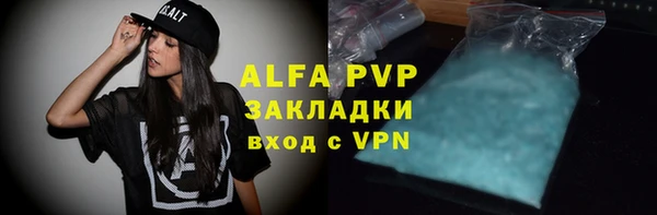молекула духа Снежногорск
